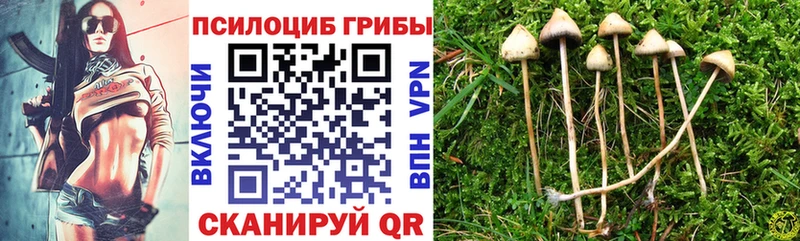 Псилоцибиновые грибы MAGIC MUSHROOMS хочу мега ССЫЛКА Терек